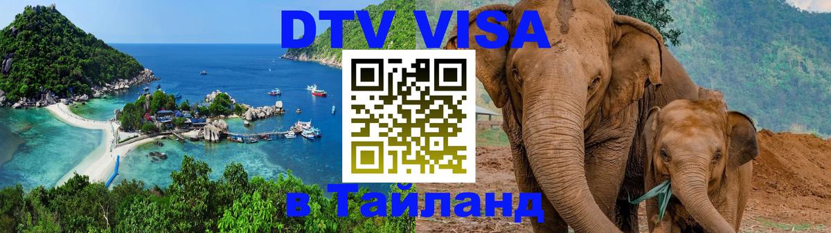 Сколько стоит DTV виза — актуальные цены, оформление даже без документов - 